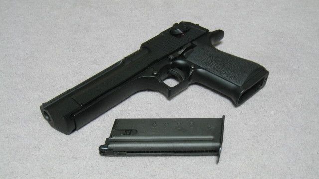 トイガンの画像